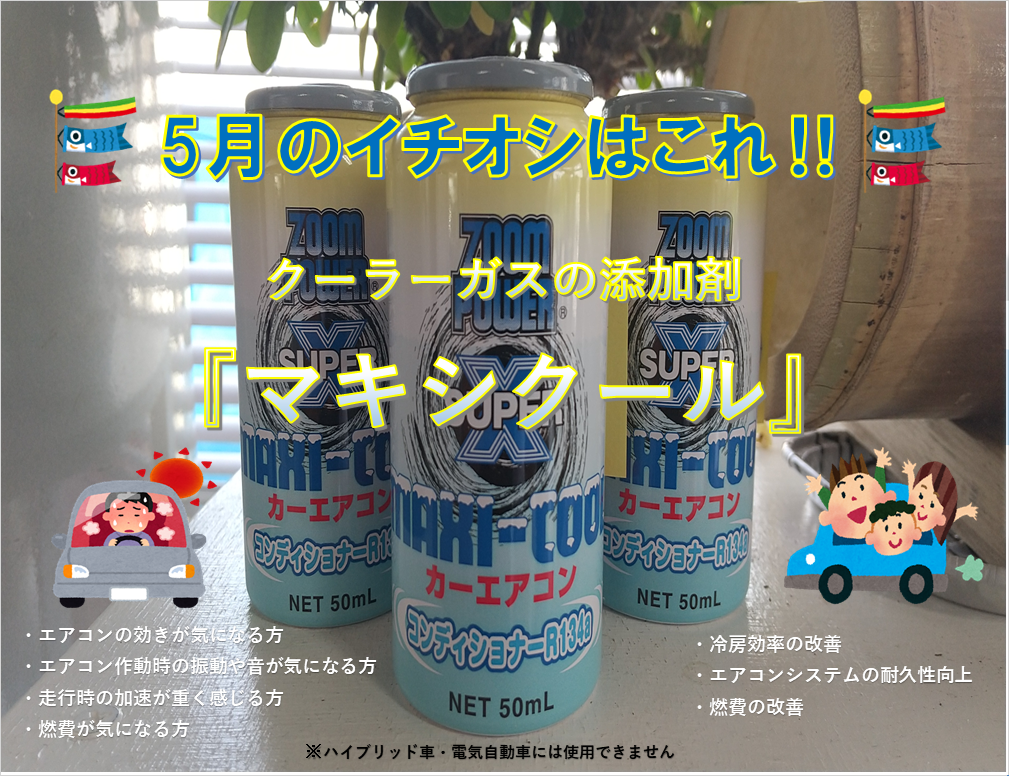 ～5月のイチオシ～