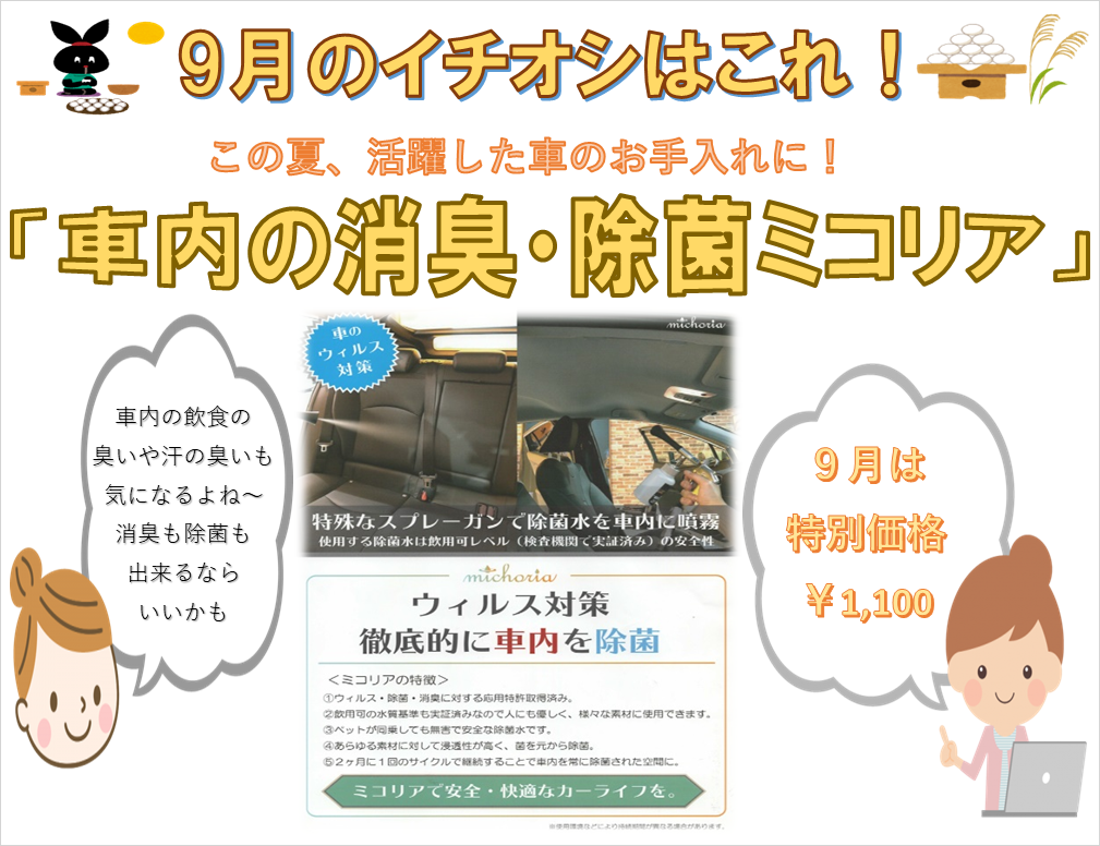 ～9月のイチオシ～